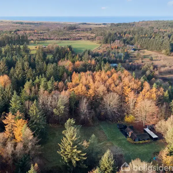 Skovområde med træer i efterårsfarver omringer en lille hytte. I baggrunden ses en sø og åbne marker, mens horisonten viser havet under en blå himmel.