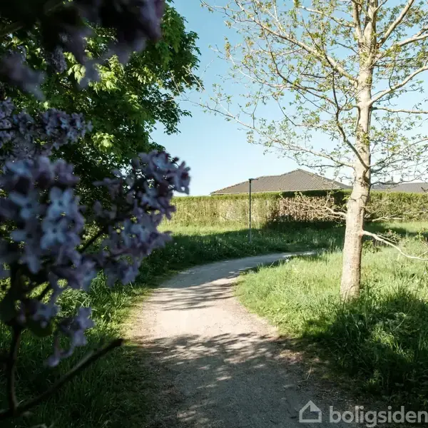 Sti snoer sig gennem en grøn have med blomstrende træer til venstre og en bar gren til højre. I baggrunden ses et hus med fladt tag i sollys.