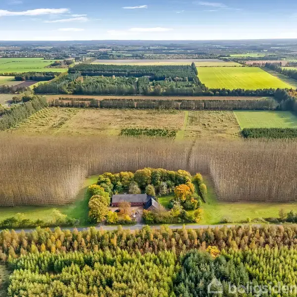 Hus omgivet af træer beliggende i en stor, åben landbrugsområde med marker og skove i baggrunden. Lyft fra luften, viser det symmetrisk anlagte skovstykker og grønne marker.