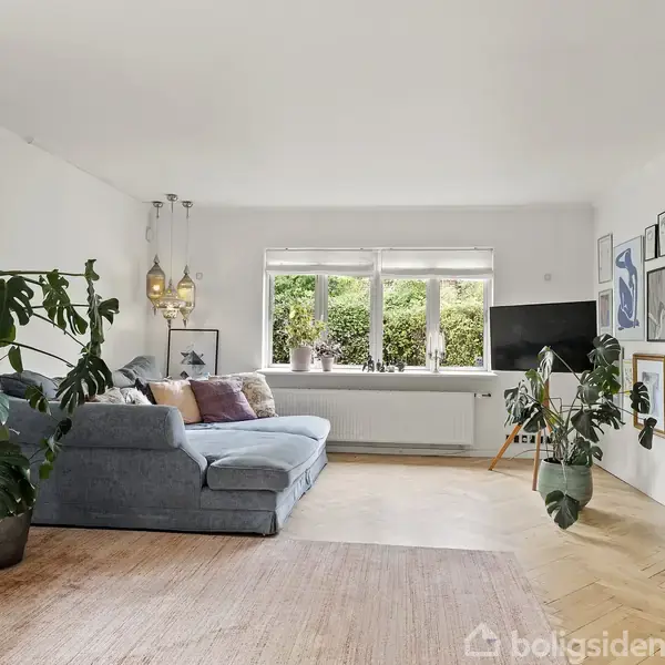 En grå sofa står i en lys stue med store vinduer og grønne planter. Dekorative billeder hænger på væggen, og et tæppe dækker det lyse trægulv.