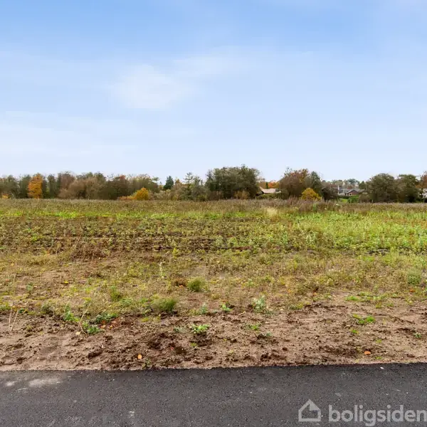 En mark med spredt vegetation ligger stille under en lys blå himmel. I baggrunden ses en række træer og buske, der grænser op til marken.