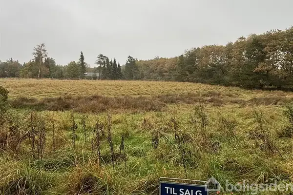 Fritidsgrund på Livøvej 111, 7870 Roslev