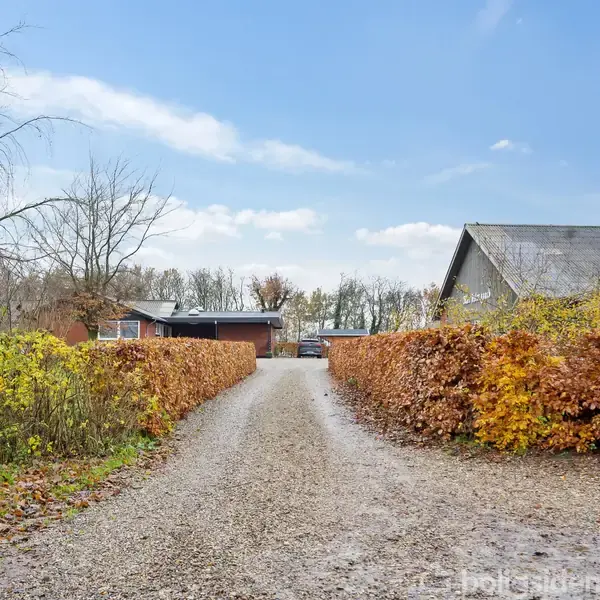 Grusvej strækker sig mellem to rækker af orange-hækkede buske, fører mod en carport omkranset af et hus og træer. Himlen er let overskyet med enkelte skyer.