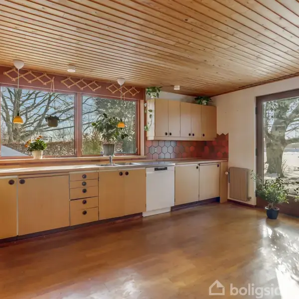 Køkken med træloft og gulv, indeholder lyse skabe og skuffer. Store vinduer og glasdør slipper naturligt lys ind, mens planter på bordet tilfører grønt.