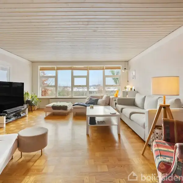 Stor stue med parketgulv, stilfulde møbler og en fladskærms-tv. Sofaen står ved siden af en lampe og et sofabord. Store vinduer giver udsigt til omgivelserne, omgivet af planter.