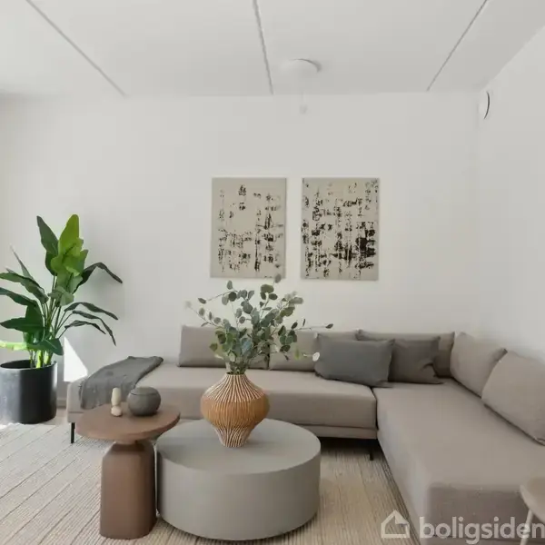 Gråt hjørnesofa står i stue med lyse vægge, dekoreret med to billeder. Et rundt sofabord med vase og plante, samt en stor grøn plante ved vinduet.
