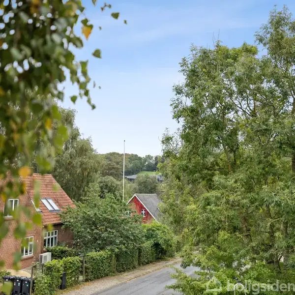 Huse med røde tage står stille langs en vej flankeret af grønne træer i et landligt område.