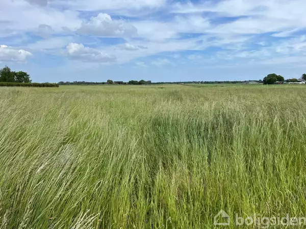 Græsmark svajer roligt i vinden i et åbent landskab under en blå himmel med lette skyer.