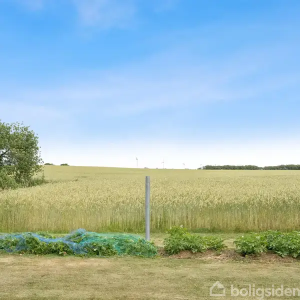 En mark med højt græs strækker sig ud i det fjerne, indrammet af træer og tre stolper i forgrunden, under en klar blå himmel.