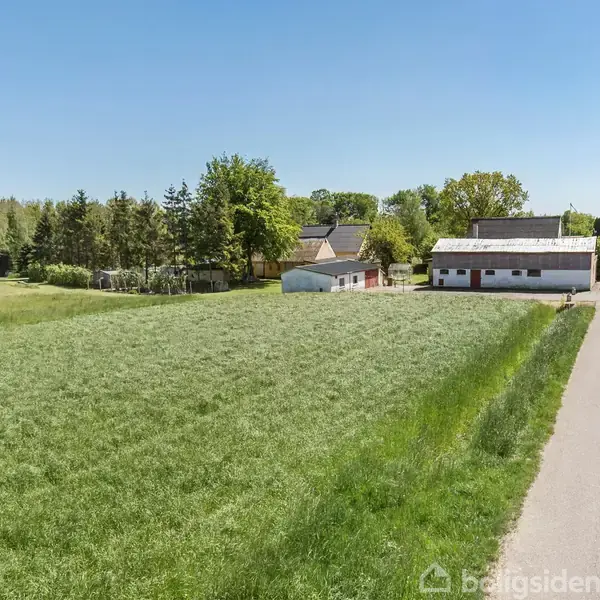 En stor græsmark ligger ved siden af en vej. I baggrunden ses nogle huse og et lader i et landligt område omgivet af træer under en klar blå himmel.