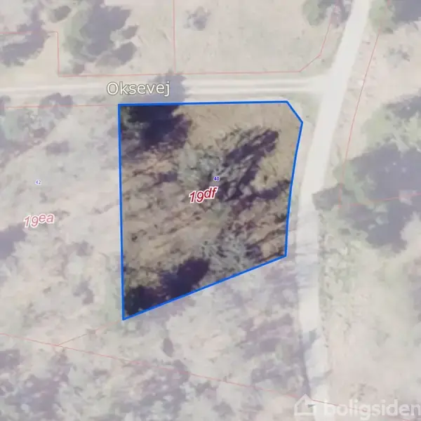 Et stykke jord markeret med en blå grænse linje og betegnet som "19df" ligger ved vejen "Oksevej." Omkringliggende områder er også navngivet som "19ea" og "19cn."