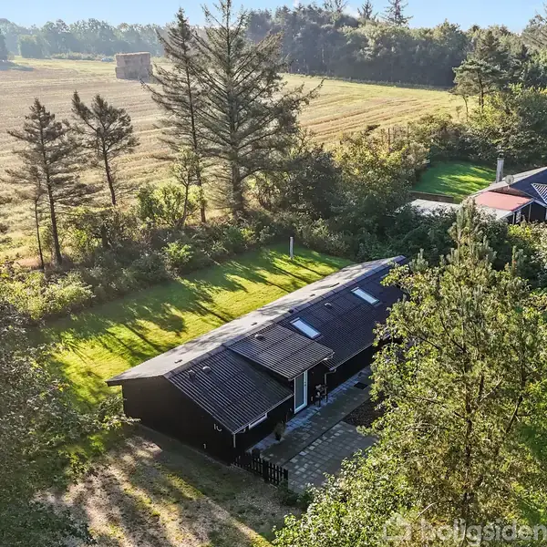 Et sort sommerhus med græsplæne ligger i en skovrig landlig omgivelser ved siden af en mark. Bagved ses et rødt anneks. Solen skinner på det grønne område.