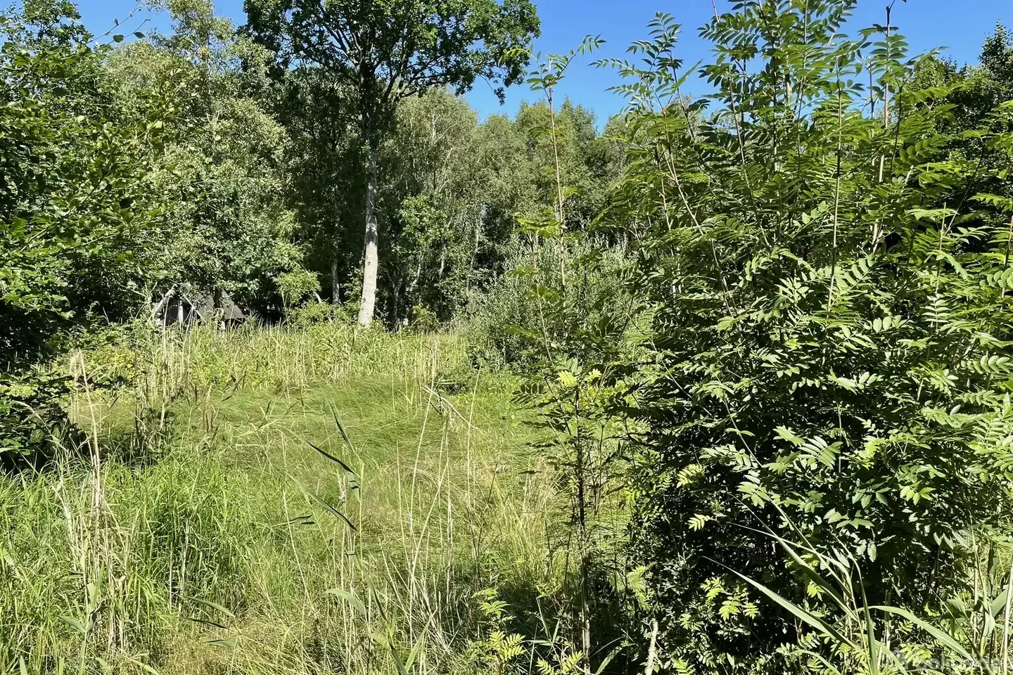 Fritidsgrund på Jægerskoven 42, 9560 Hadsund