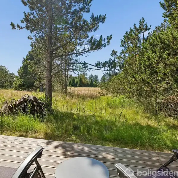 Terrasse med liggestole og et bord i træomgivelser ved skov. Terrasse grænsende til frodig natur med høje træer og lys himmel. Ingen tekst til stede.