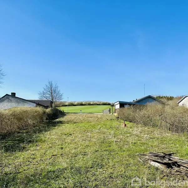 To huse står stille på en åben græsmark omgivet af buske, med en blå himmel i baggrunden og nogle grene foran. Der ses også en bunke brædder til højre.