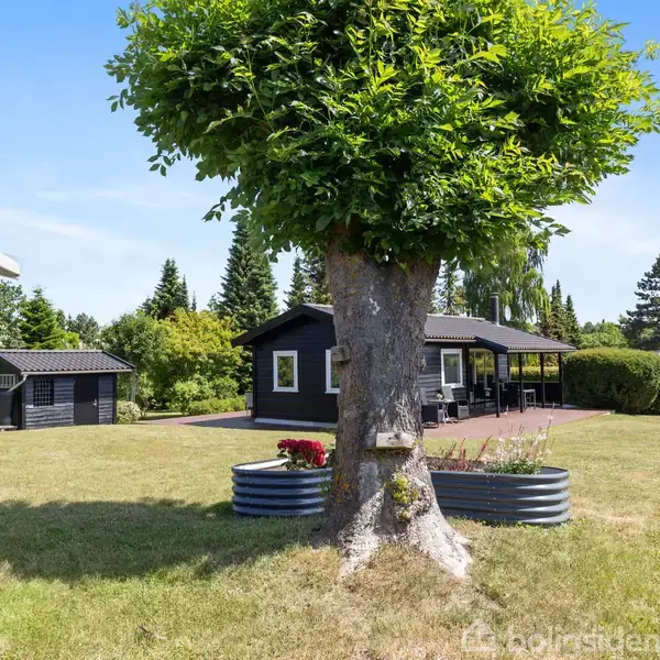 Sort træhus med terrasse står i en grøn have. Foran huset er et bardtræ og blomsterbede i metalbeholdere. Der er også et lille skur i baggrunden.