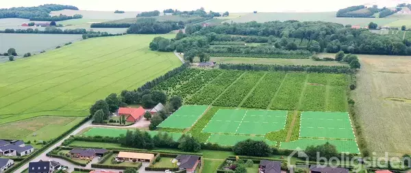 Flere marker strækker sig over et landskab med grønne felter og skove i baggrunden. Boliger er synlige i forgrunden, omgivet af træer og veje.
