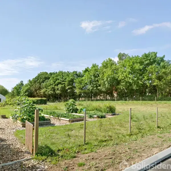 Grønsagshave i forgrunden med højbede og træer i baggrunden. Solrigt vejr og et hvidt hus til venstre. Sti afgrænset af hegn leder mod haven.