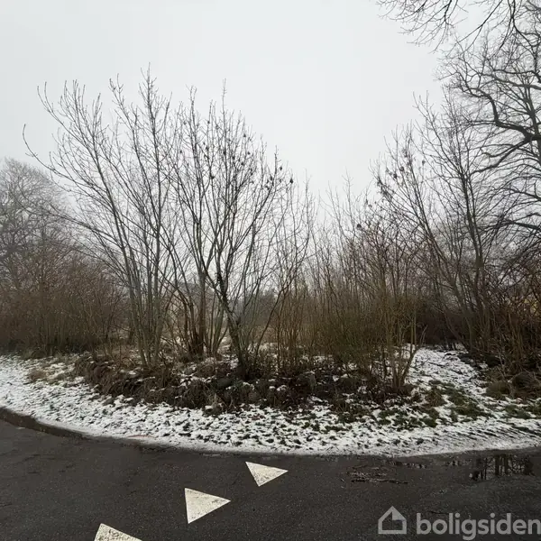 Træer står nøgne midt i en sneklædt vejkrans, omkranset af bar jord og en grå, overskyet himmel. To piletegninger markerer vejretningen på den våde asfalt.