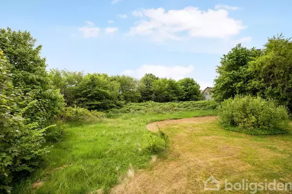 En grøn eng omgivet af tætte træer og buske, med en blå himmel og spredte skyer i baggrunden.
