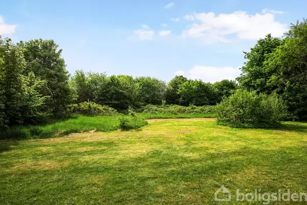 En grøn græsplæne strækker sig mod en baggrund af tætte buske og træer under en blå himmel med spredte skyer. Marken ligger i et åbent naturskønt område.