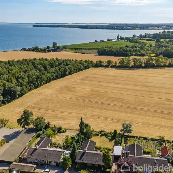 En stor mark med gyldent korn strækker sig i midten, omgivet af skove og huse. I baggrunden ses kysten og havet under en klar blå himmel.