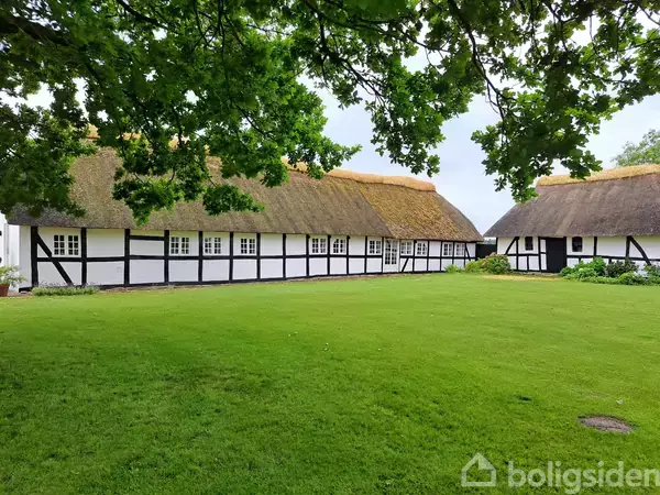 Bindingsværkshuse med stråtag står i en gårdshave omkranset af grønne plæner under et dække af frodige grene.