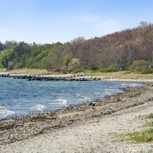 En strand strækker sig langs en skovkant ved en rolig kystlinje, med bølger der blidt rammer den stenede og sandede strandbred under en klar blå himmel.