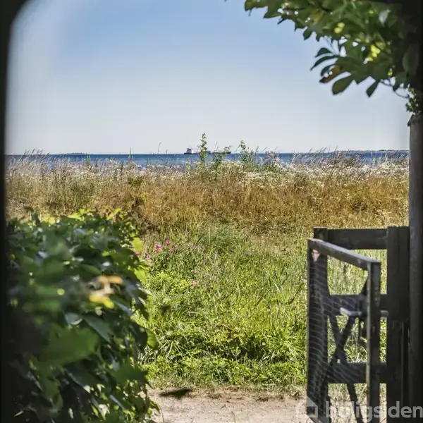 En grøn have med højt græs og blomster løber ud mod en strandeng. I baggrunden ses havet under en klar blå himmel.