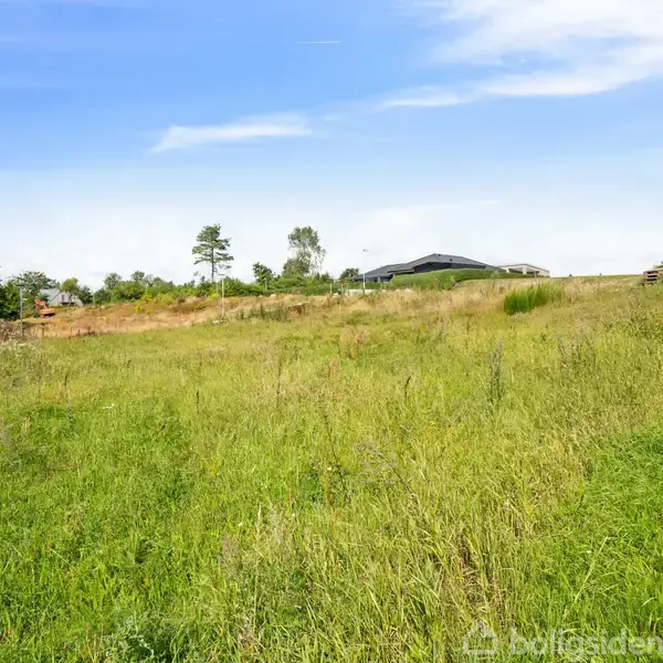 Græsmark med vildtvoksende planter ligger under en blå himmel. En bygning ses i baggrunden omgivet af flere træer. Atmosfæren er landlig og fredfyldt.