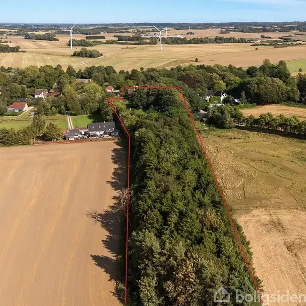 En lang stribe af skov omgivet af marker. Skoven strækker sig fra en klynge huse mod horisonten, med vindmøller i baggrunden under en klar blå himmel.