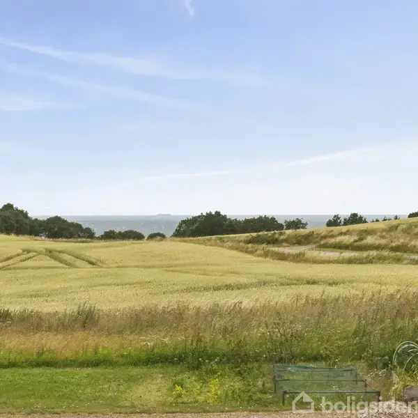 Et stort marklandskab med gyldne kornmarker strækker sig mod horisonten. Træer kantet markerne, og i baggrunden skimtes vandet. Klar blå himmel over scenariet.
