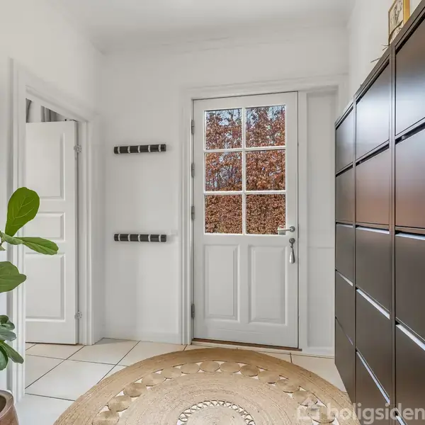 En entre med en hvid dør står åben mod en gang, omgivet af en stor plante ved et spejl og mørke skoskabe langs væggen. En rund, beige mat ligger på gulvet.
