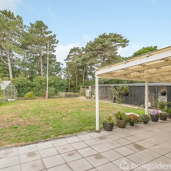 Terrasse med fliser har adskillige blomsterkrukker og et spisebordssæt. En åben græsplæne med et drivhus i baggrunden omgivet af høje træer og buske.