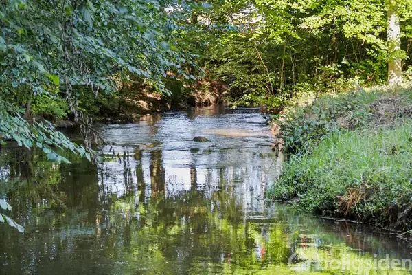 Helårsgrund på Hellasvej 9, 7500 Holstebro