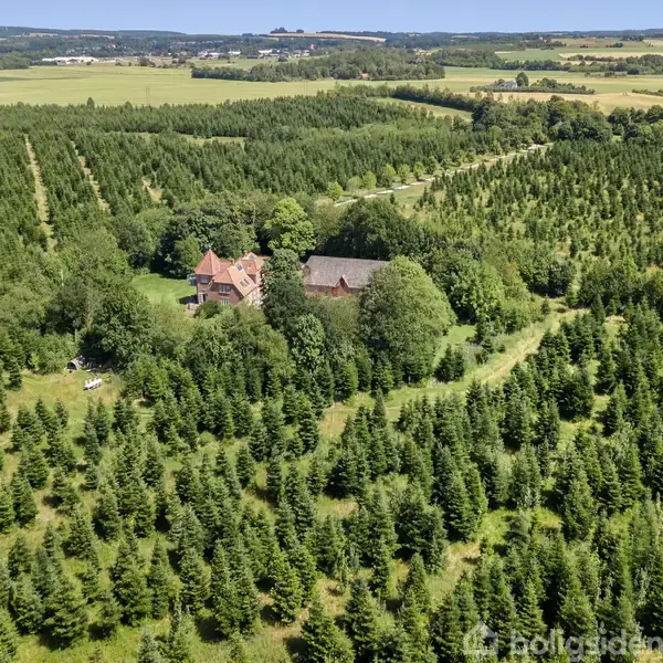 En stor ejendom ligger midt i en tæt skovplantage med rækker af grantræer. Omkring huset er der flere træer og åbne marker i baggrunden.