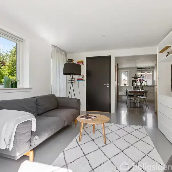 Grå sofa står i stuen med et tæppe og et lille bord foran. Til venstre er et vindue med planter. I baggrunden ses en spisestue.