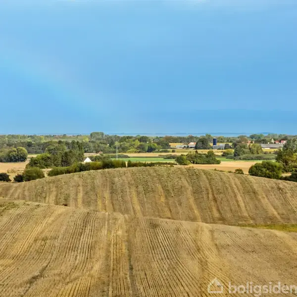 En bølgende mark strækker sig i forgrunden, flankeret af grønne buske og træer, med spredtliggende huse og skov i horisonten under en blå himmel.