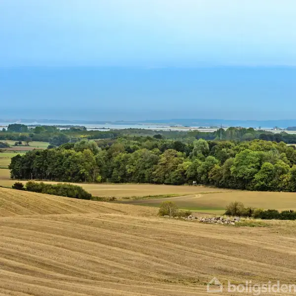 Et åbent landskab med en pløjet mark i forgrunden, en grøn skov i midten og en udsigt over havet i horisonten under en blå himmel.