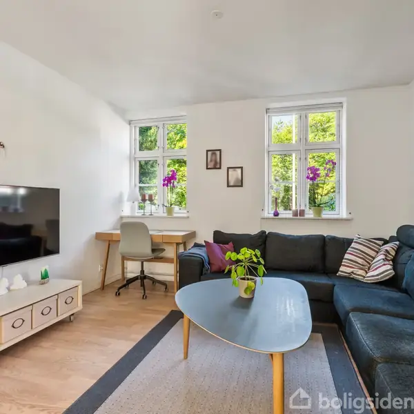 Stue med en sort sofa og runde bord foran. Et tv på hvidt møbel til venstre. Skrivebord med stol ved vinduet. Grønne planter på bordene.