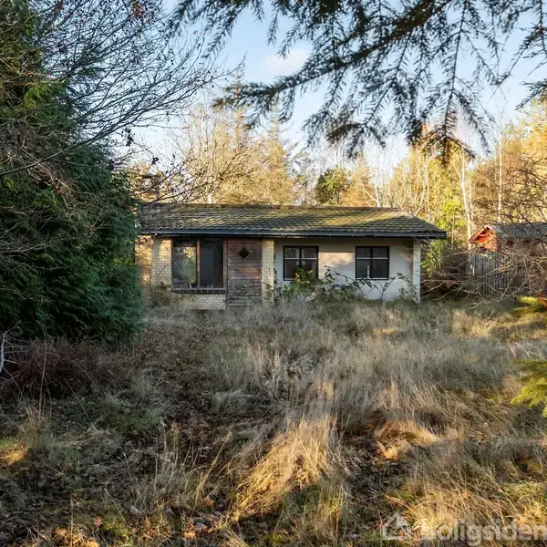 Et lille, enkelt hus står stille omgivet af vildtvoksende græs og buske. Omkringliggende træer giver en indramning af naturlige elementer. Ingen tekst er synlig i billedet.