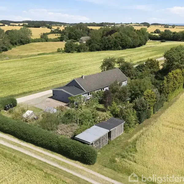 En enfamiliehus omgivet af hække og marker ligger langs en grusvej. Omkringliggende åbent landskab med gule marker og et bælte af træer ved horisonten.