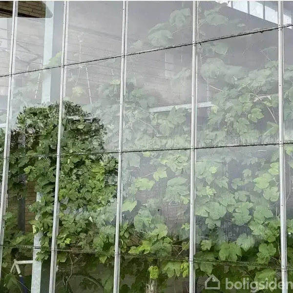 En bygning med store glasvinduer reflekterer grønne planter indeni. Omkring bygningen ses træer og en lys himmel.