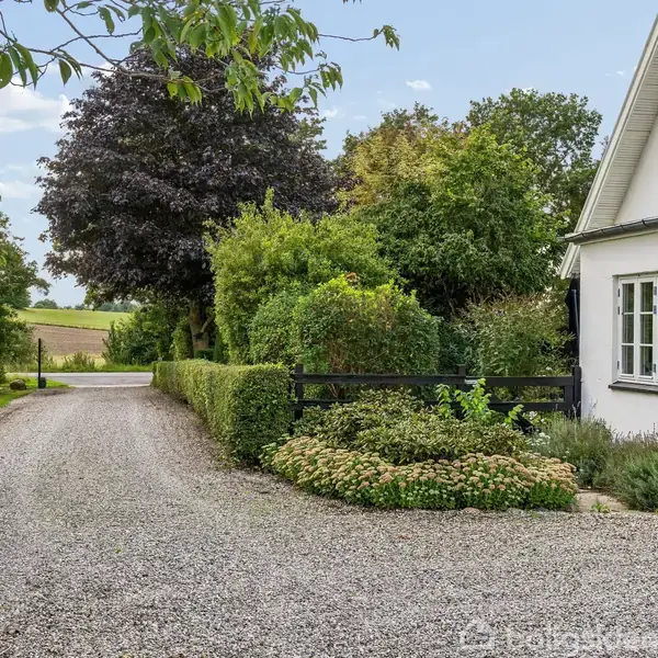 Et hvidt hus med sort tag står omgivet af frodige buske og træer. En grusvej fører op til huset, der ligger i et landligt område.