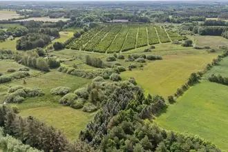Landejendom på Hadsundvej 64, Vester Korup, 9575 Terndrup