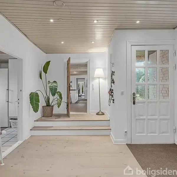 En entre med trædør holder flere jakker på knagerække. En stor plante står på trægulv. Lampe nær trappe oplyser rummet med lyst loft og spejl på væggen.