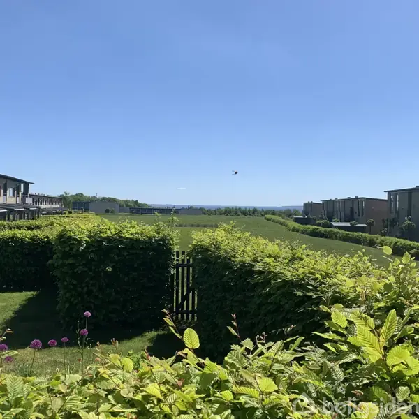 Hække omslutter en lille have med lilla blomster. I baggrunden er der rækker af moderne rækkehuse langs grønne marker under en klar blå himmel.