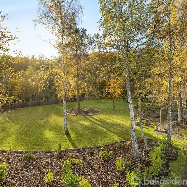 Træer står i en cirkulær græsplæne, omgivet af skovlandskab med efterårsfarver. Sollys filtrerer gennem bladene, skaber skygger på græsset og fremhæver den naturlige skønhed.