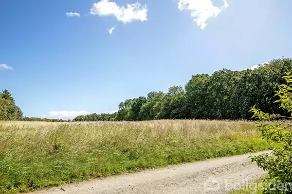 En grussti strækker sig gennem et åbent marklandskab med højt græs, omgivet af tæt skov under en klar blå himmel med spredte skyer.