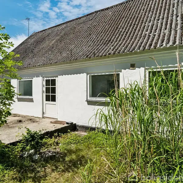 Hvidt hus med skråt tag, stående i en have med græs og høje planter. En dør og to vinduer er synlige på den solbelyste facade.